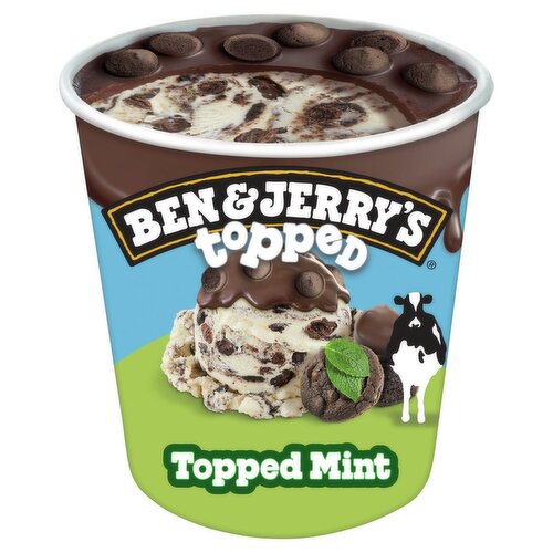 Ben & Jerry's Topped Mint Ice Cream, 15.2 fl oz