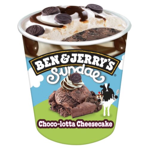 Ben & Jerry's Sundae Choco-Lotta Cheesecake Ice Cream, 14.4 fl oz