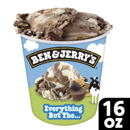 Ben & Jerry's Vermont's Finest Chocolate & Vanilla Ice Creams, 16 oz