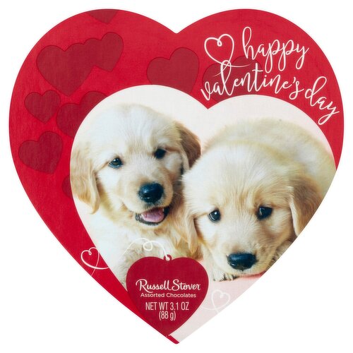 Russell Stover Happy Valentine's Day Assorted Chocolates, 5 count, 3.1 oz