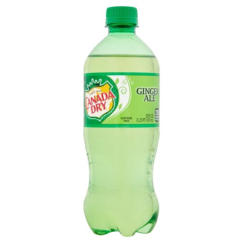 Canada Dry Ginger Ale, 20 fl oz