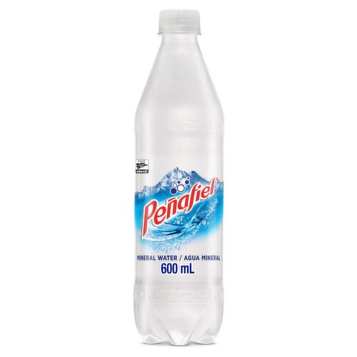 Peñafiel Carbonated Mineral Water, 20.3 fl oz