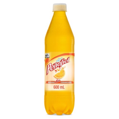 Peñafiel Orangeade Mineral Spring Water Beverage, 20.3 fl oz