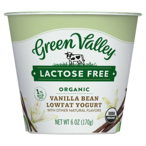 Green Valley Lactose Free Organic Vanilla Bean Lowfat Yogurt, 6 oz