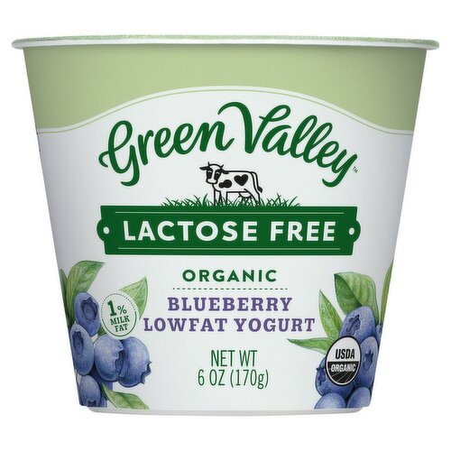 Green Valley Lactose Free Organic Blueberry Lowfat Yogurt, 6 oz