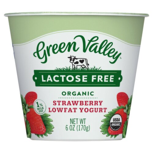 Green Valley Lactose Free Organic Strawberry Lowfat Yogurt, 6 oz