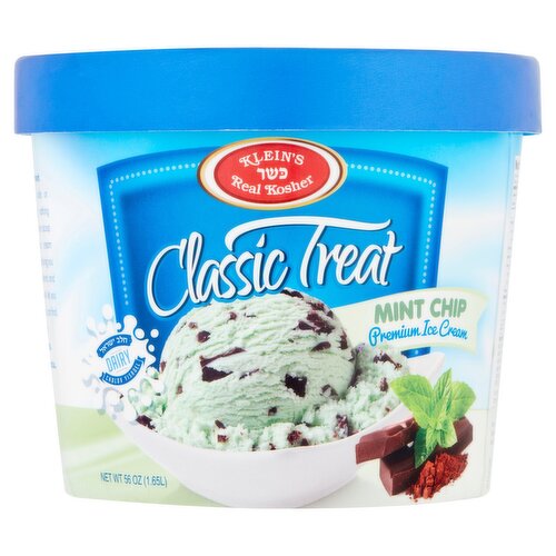 Klein's Real Kosher Classic Treat Mint Chip Premium Ice Cream, 56 oz