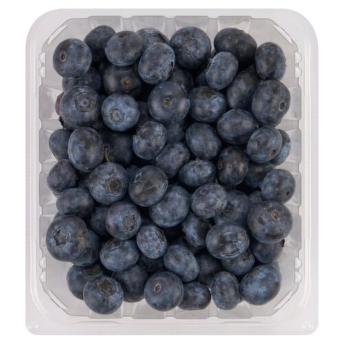 Fresh Organic Blueberries, pint