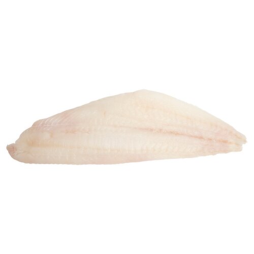 Fresh Flounder Fillet