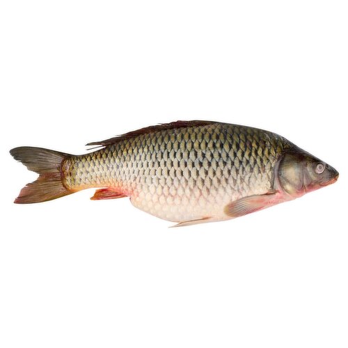 Fresh Whole Carp, Cleaned