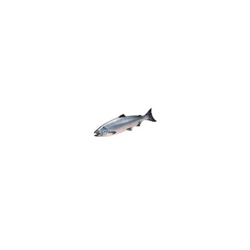 Fresh Atlantic Salmon - Whole, 1 pound