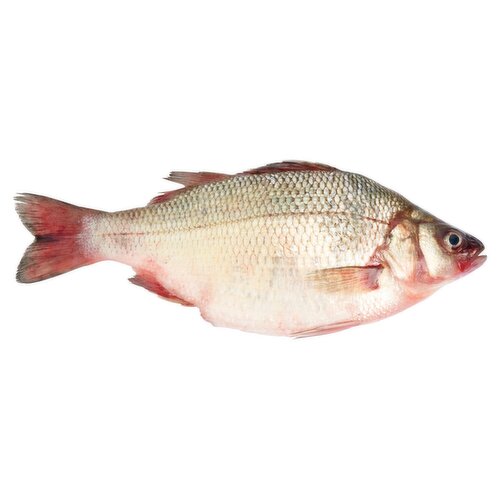 Fresh White Perch