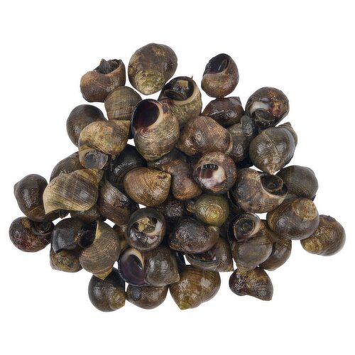 Fresh Periwinkle Snails, Live, 78 - 110 snails per pound