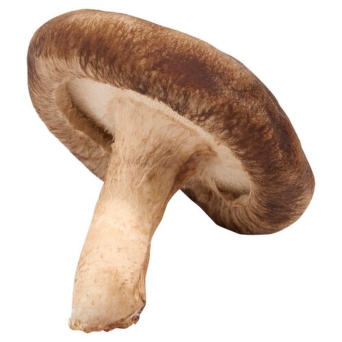 Fresh Shiitake Mushrooms