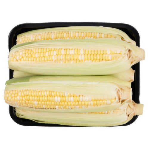 Tray Pack Corn 5 Count