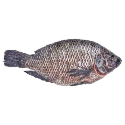 Fresh Whole Fully Cleaned Black Tilapia