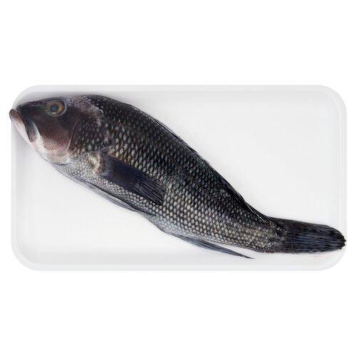 Fresh Whole Cleaned Black Sea Bass