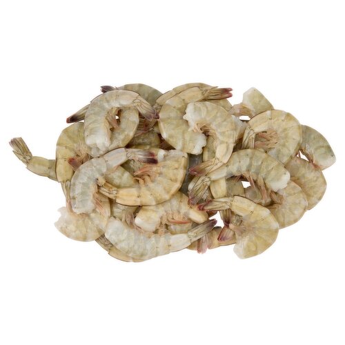 Fresh Ecuadorian Extra Large Shrimp