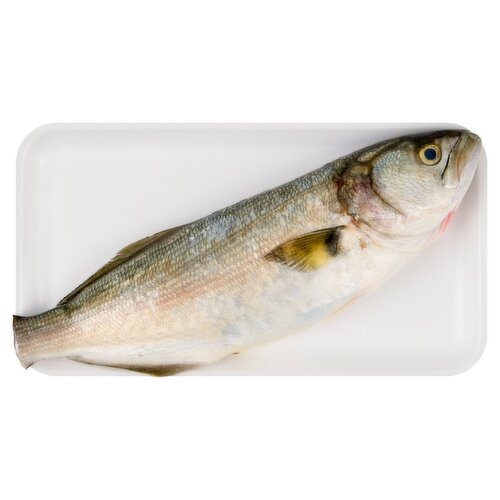 Fresh Whole Cleaned Bluefish