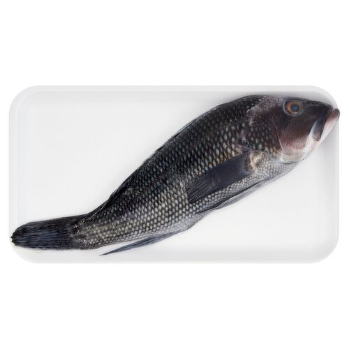Fresh Whole Cleaned Black Sea Bass