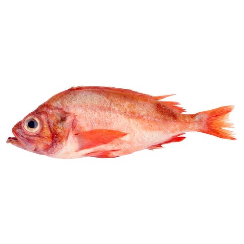Fresh Ocean Perch, Whole