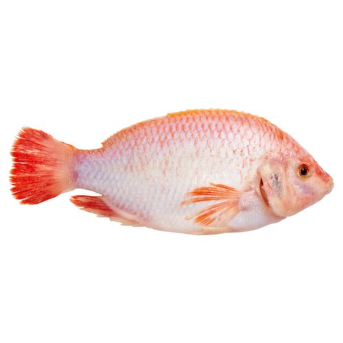 Fresh Cleaned Red Tilapia