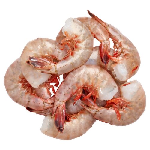 Fresh Colossal Domestic Shrimp