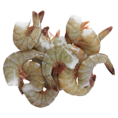 Fresh Extra Large Ecuador Shrimp