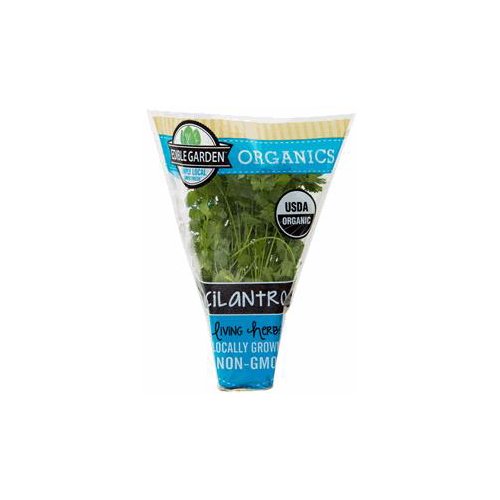 The Floral Shoppe Organic Cilantro Plant, 1 each