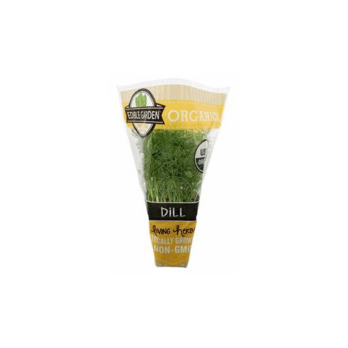 The Floral Shoppe Organic Dill Plant, 1 each