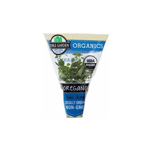 The Floral Shoppe Organic Oregano Plant, 1 each