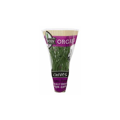 The Floral Shoppe Organic Chives Plant, 1 each