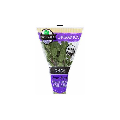 The Floral Shoppe Organic Sage Plant, 1 each