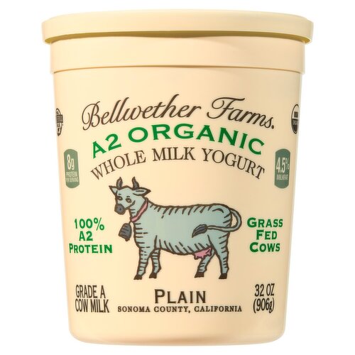 Bellwether Farms Plain A2 Organic Whole Milk Yogurt, 32 oz