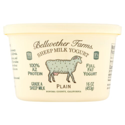 Bellwether Farms Plain Sheep Milk Yogurt, 16 oz