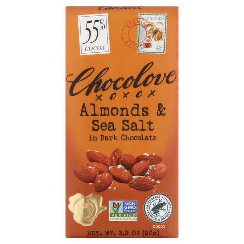 Chocolove Almonds & Sea Salt in Dark Chocolate, 3.2 oz