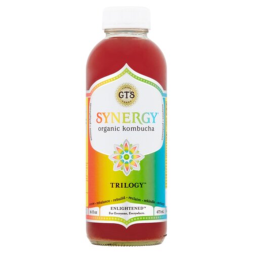 GT's Synergy Trilogy Organic Kombucha, 16 fl oz