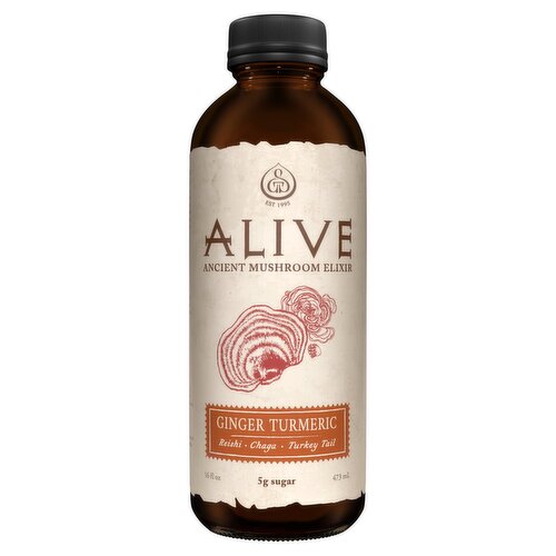 GT's Living Foods Alive Ginger Turmeric Ancient Mushroom Elixir, 16 fl oz