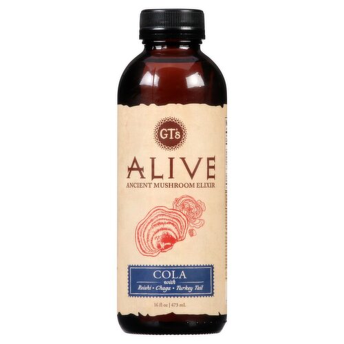 GT's Alive Cola Ancient Mushroom Elixir, 16 fl oz