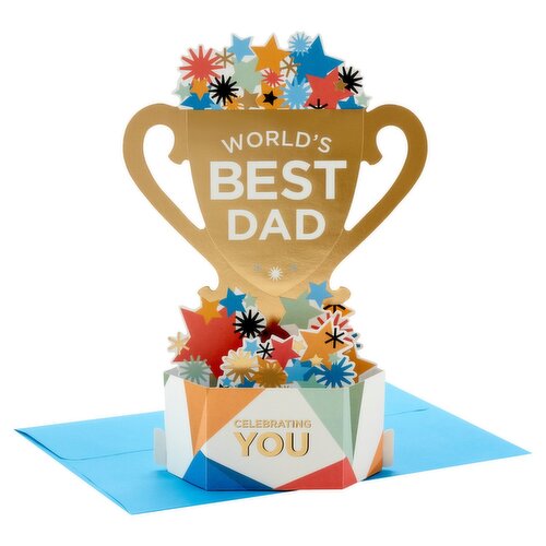 Hallmark Paper Wonder Pop Up Fathers Day Card