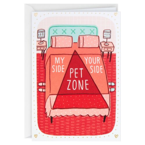 Hallmark Shoebox Funny Valentine's Day Card for Husband, Wife, Boyfriend, Girlfriend, Spouse (Pet Zone)