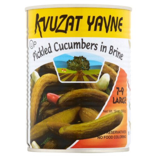 Kvuzat Yavne Large Pickled Cucumbers in Brine, 19 oz