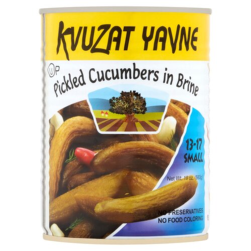 Kvuzat Yavne Pickled Cucumbers in Brine, 19 oz