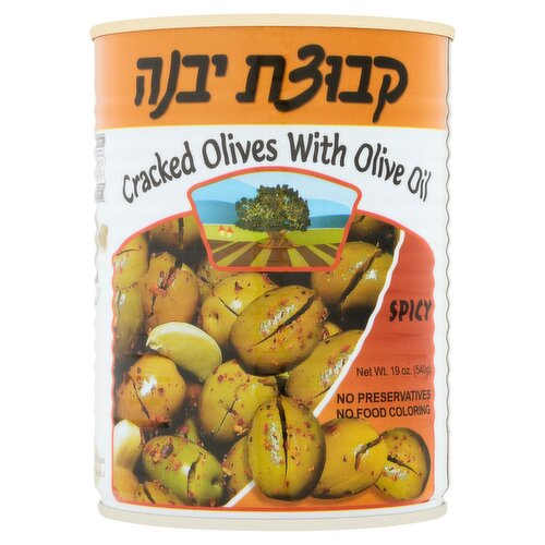 Kvuzat Yavne Spicy Cracked Olives with Olive Oil, 19 oz