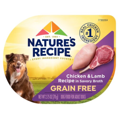 Nature's Recipe Grain Free Chicken & Lamb Recipe in Savory Broth Dog Food for Adult Dogs, 2.75 oz