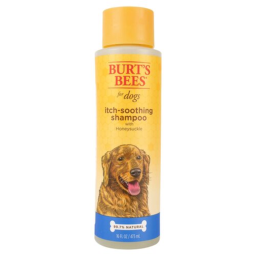 Burt's Bees Itch-Soothing Shampoo for Dogs with Honeysuckle, 16 fl oz