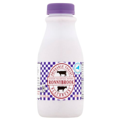 Ronnybrook Blackberry Drinkable Yogurt, 12 fl oz