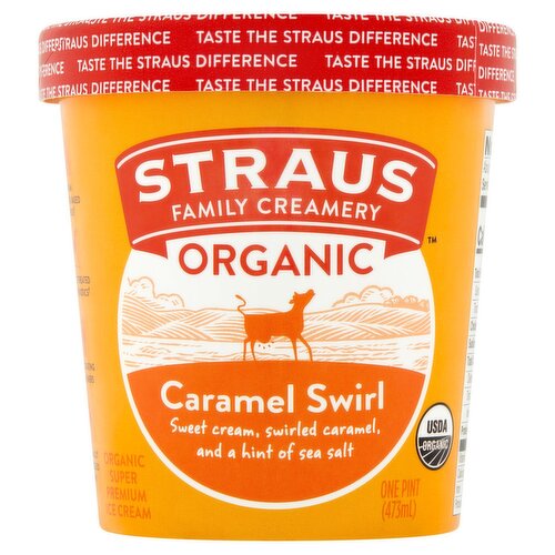 Straus Family Creamery Caramel Swirl Organic Super Premium Ice Cream, 1 pint