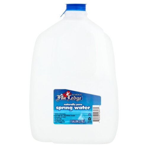 Fox Ledge Naturally Pure Spring Water, 1 Gallon