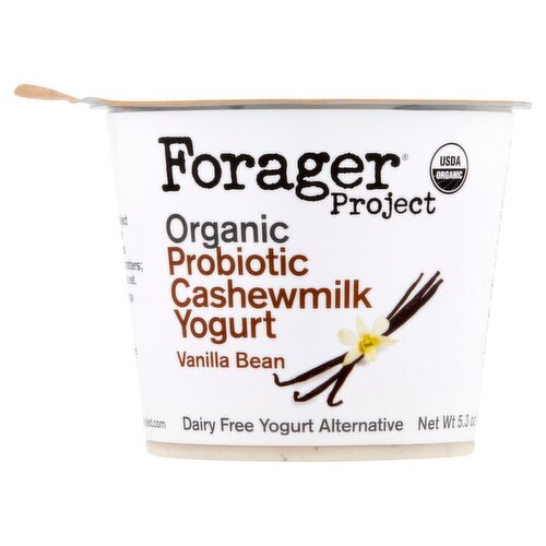 Forager Project Organic Probiotic Vanilla Bean Cashewmilk Yogurt Alternative, 5.3 oz